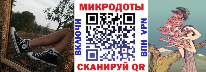 Купить  Пикалёво  Галлюциногенные грибы Psilocybe 