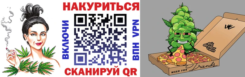 Купить  Пикалёво  Канабис сатива 